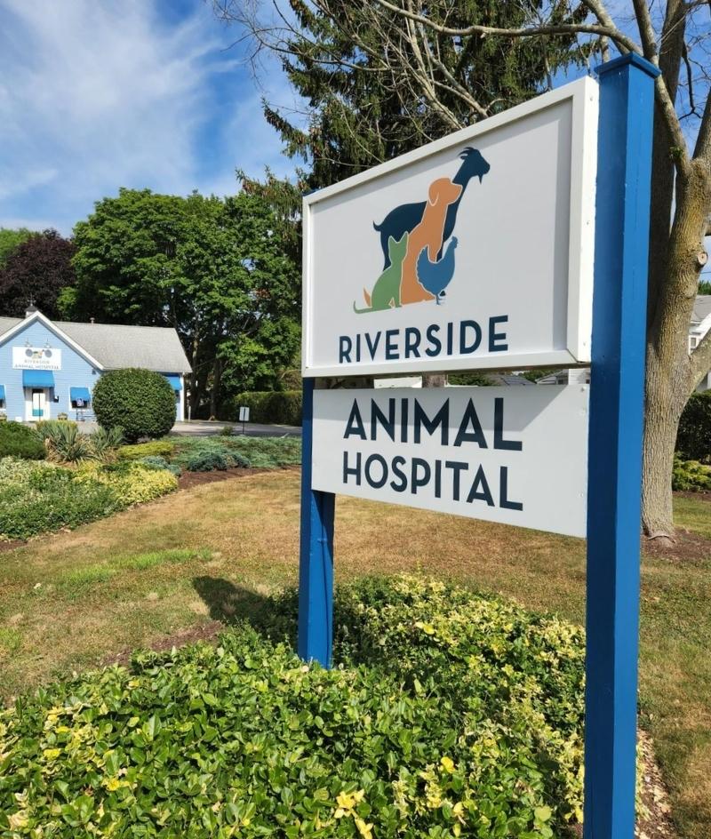 Riverside Animal Hospital | Riverside RI pet hospital