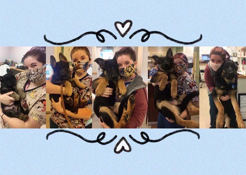 Riverside Animal Hospital Riverside veterinary hospital