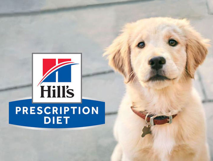 Hill's Prescription Diet Update